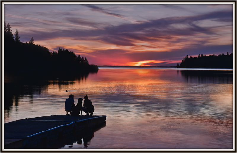 Abbey Watching by Darlene Perkin